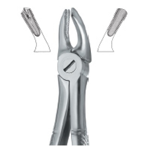 Molars , Right 39R