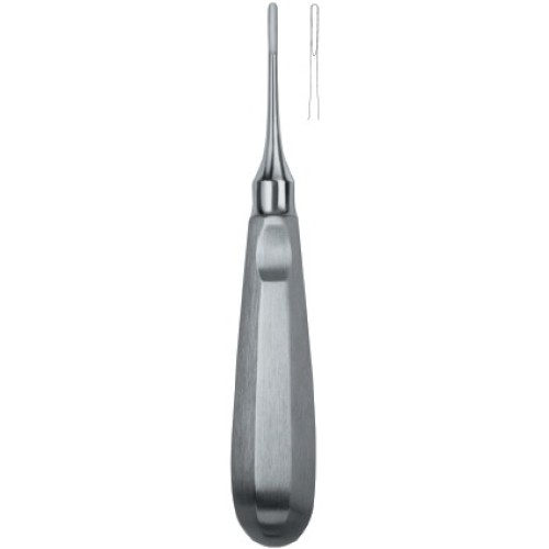 Apical 1