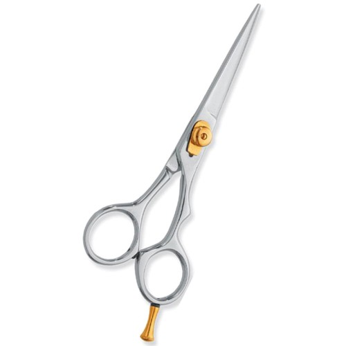 Professional hair Cutting Scissors