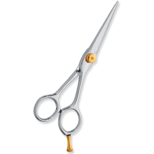 Professional hair Cutting Scissors
