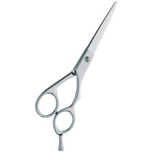 Professional hair Cutting Scissors
