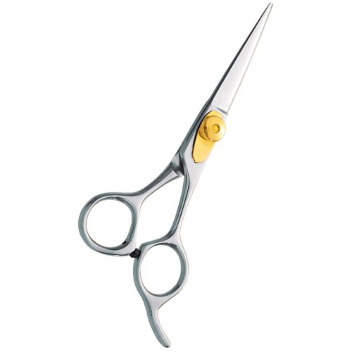 Professional hair Cutting Scissors