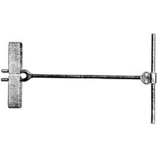 Torsion fork